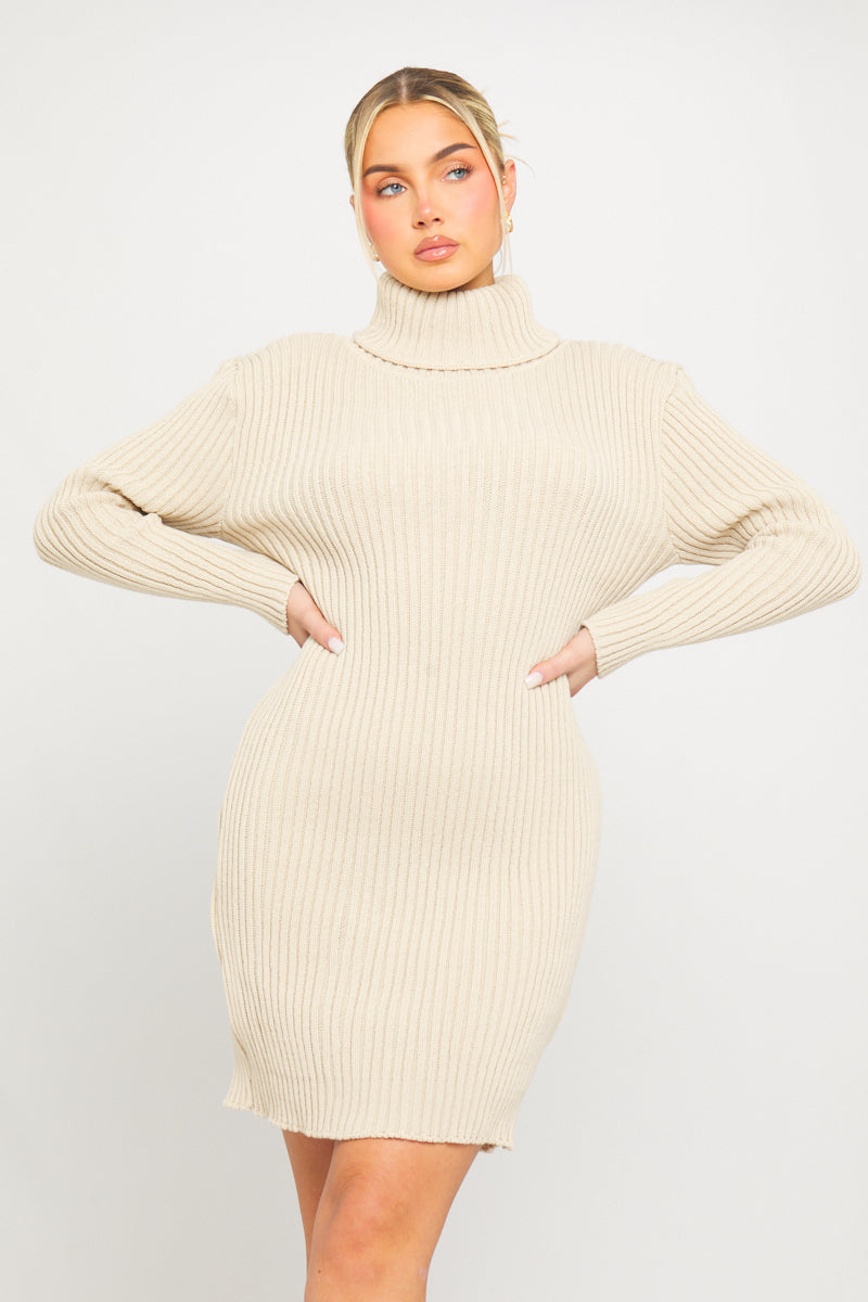 Beige Turtleneck Knit Mini Dress | Cozy & Chic | Effortless Elegance