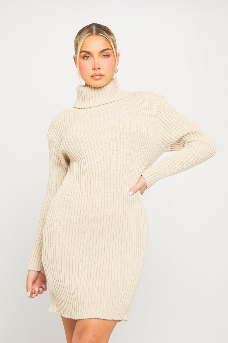 Beige Turtleneck Knit Mini Dress | Cozy & Chic | Effortless Elegance