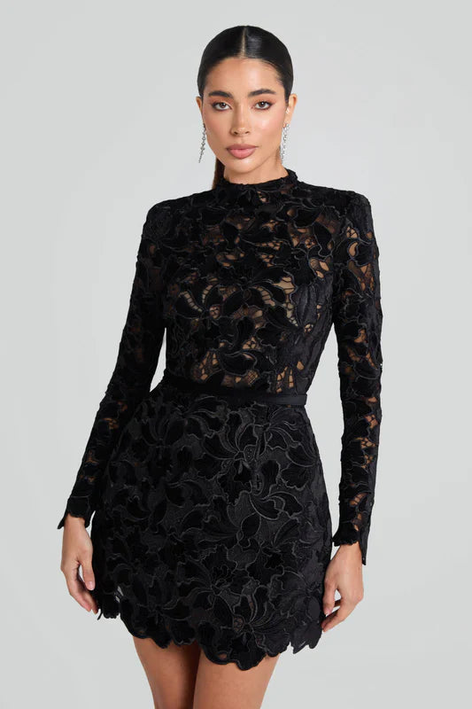 Embroidered Lace Mini Dress | High Neck | Elegant & Chic