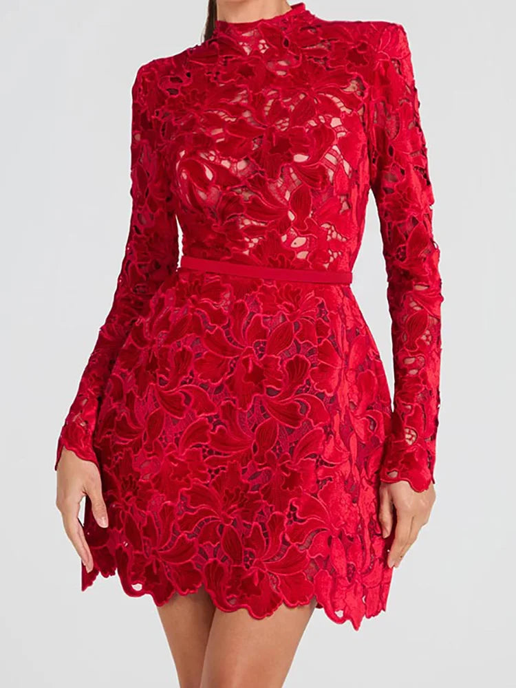 Embroidered Lace Mini Dress | High Neck | Elegant & Chic