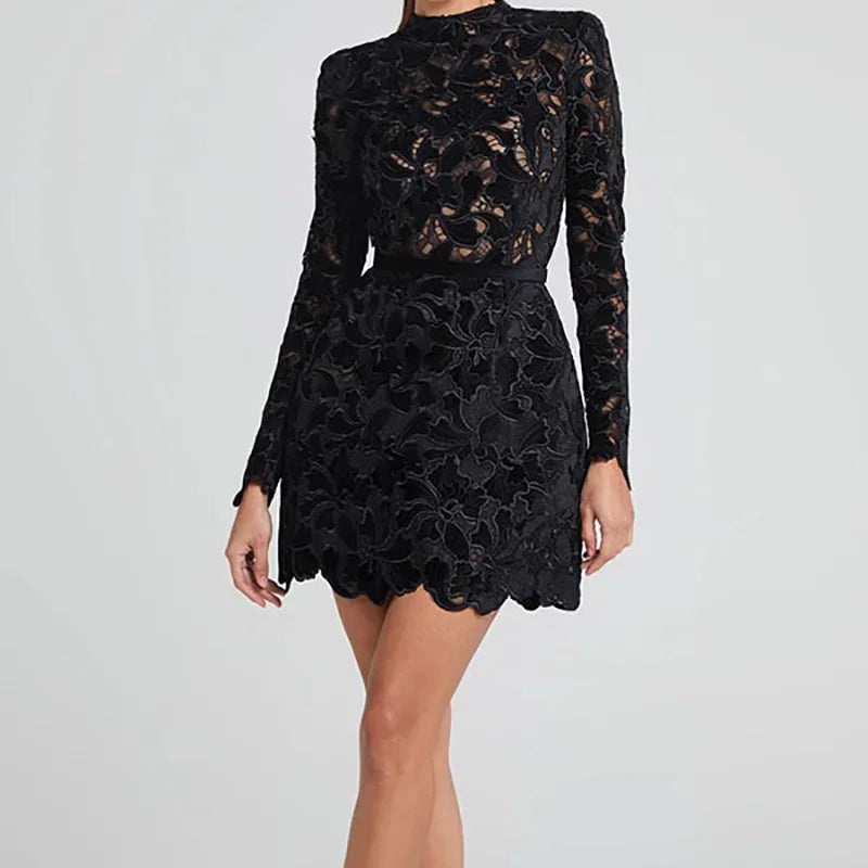 Embroidered Lace Mini Dress | High Neck | Elegant & Chic